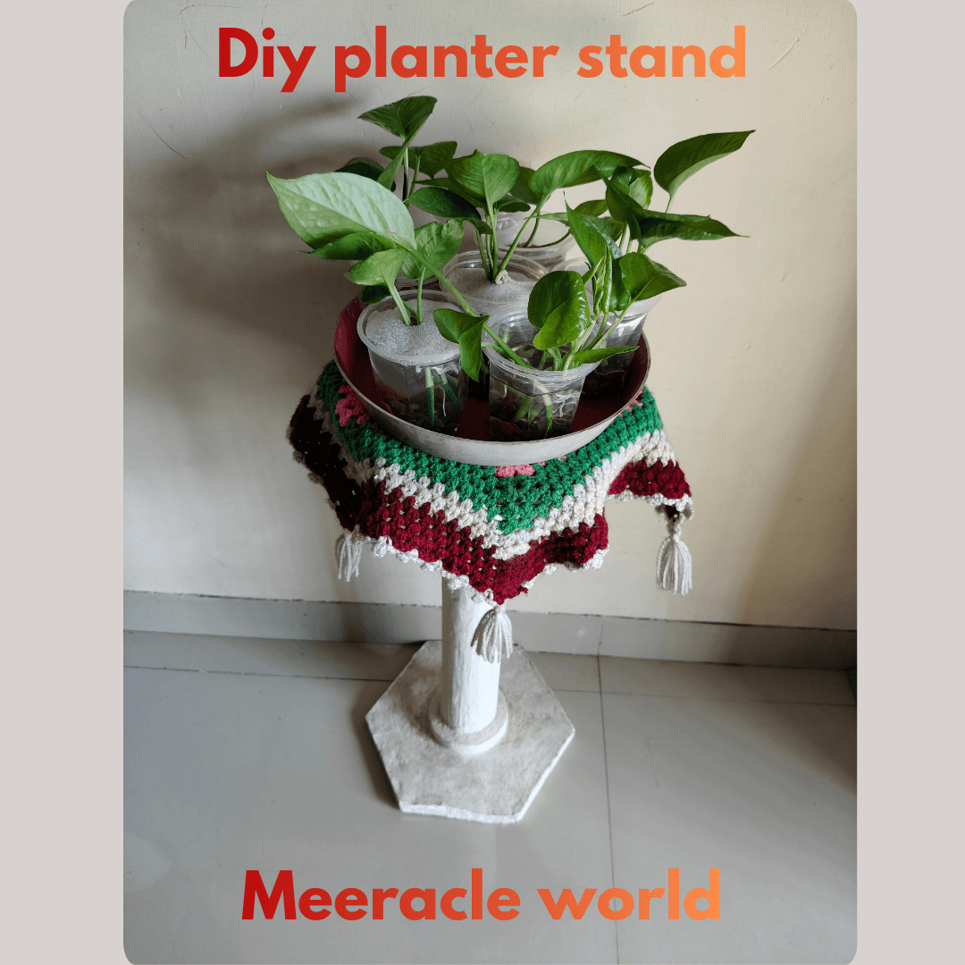 ​DIY planter stand made from cardboard and cement with green indoor plants