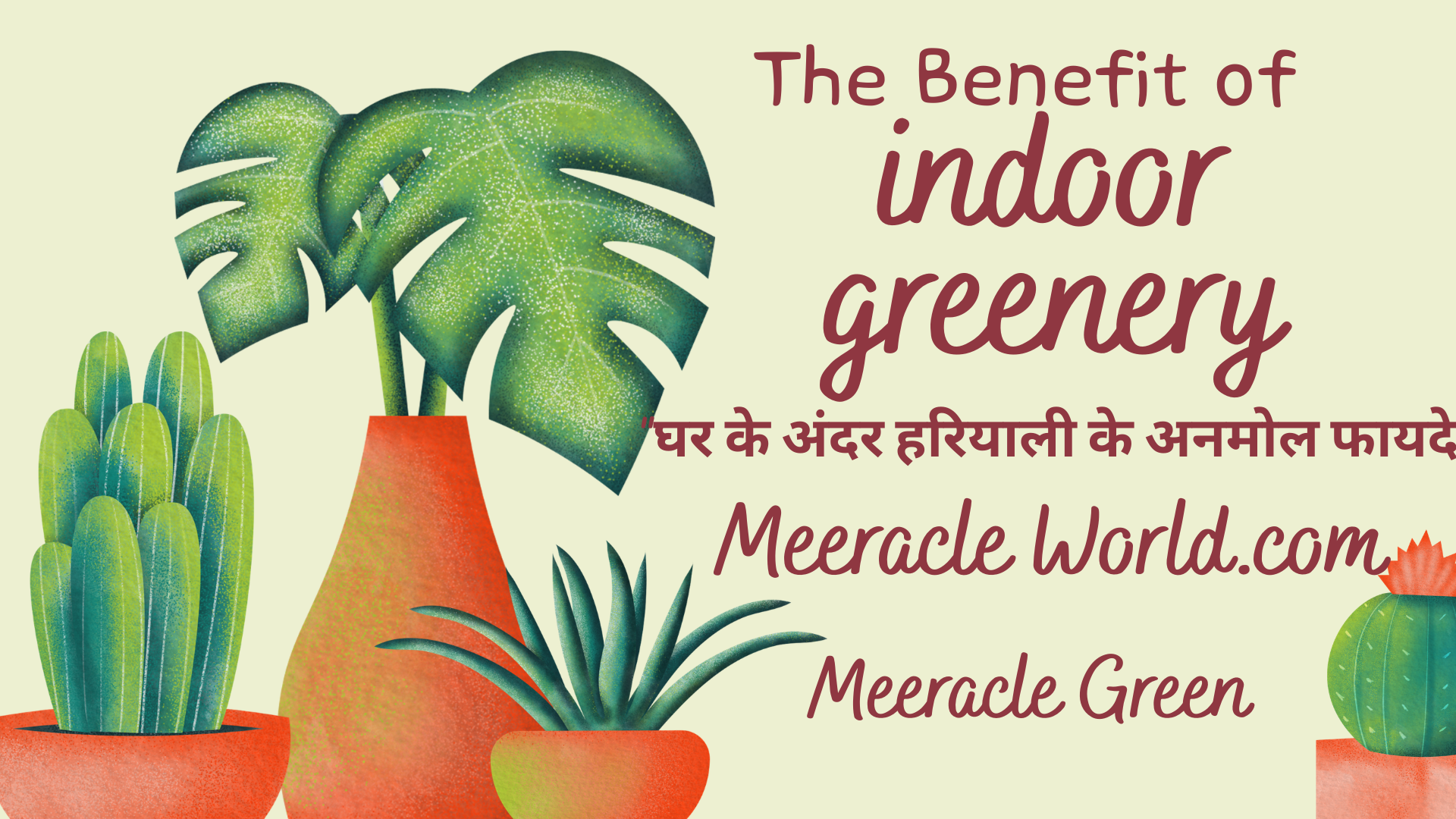 Indoor Greenery