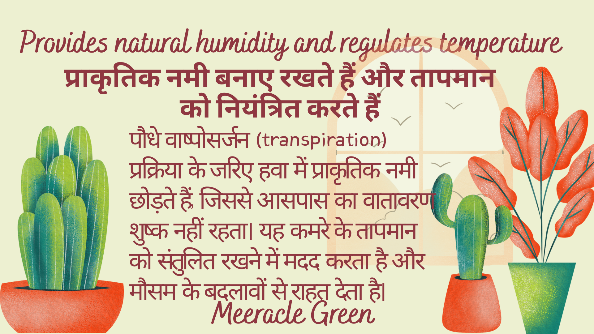 Provides natural humidity and regulates temperature
