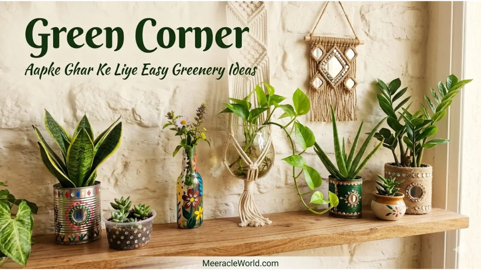 Meeracle Green corner page image and contact page image
