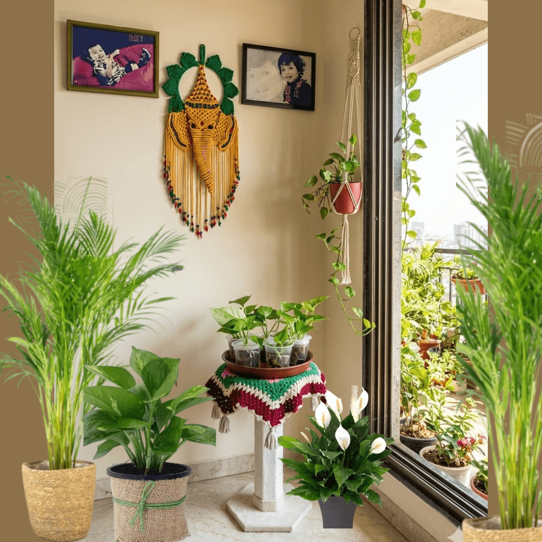 Balcony garden decor with handmade macrame Ganpati Bappa wall hanging and indoor plants