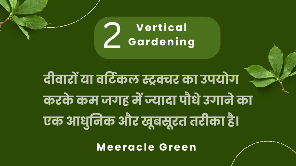 Types of Gardening - Deewaron par Vertical gardening karke kam jagah mein paudhe ugane ka tarika
