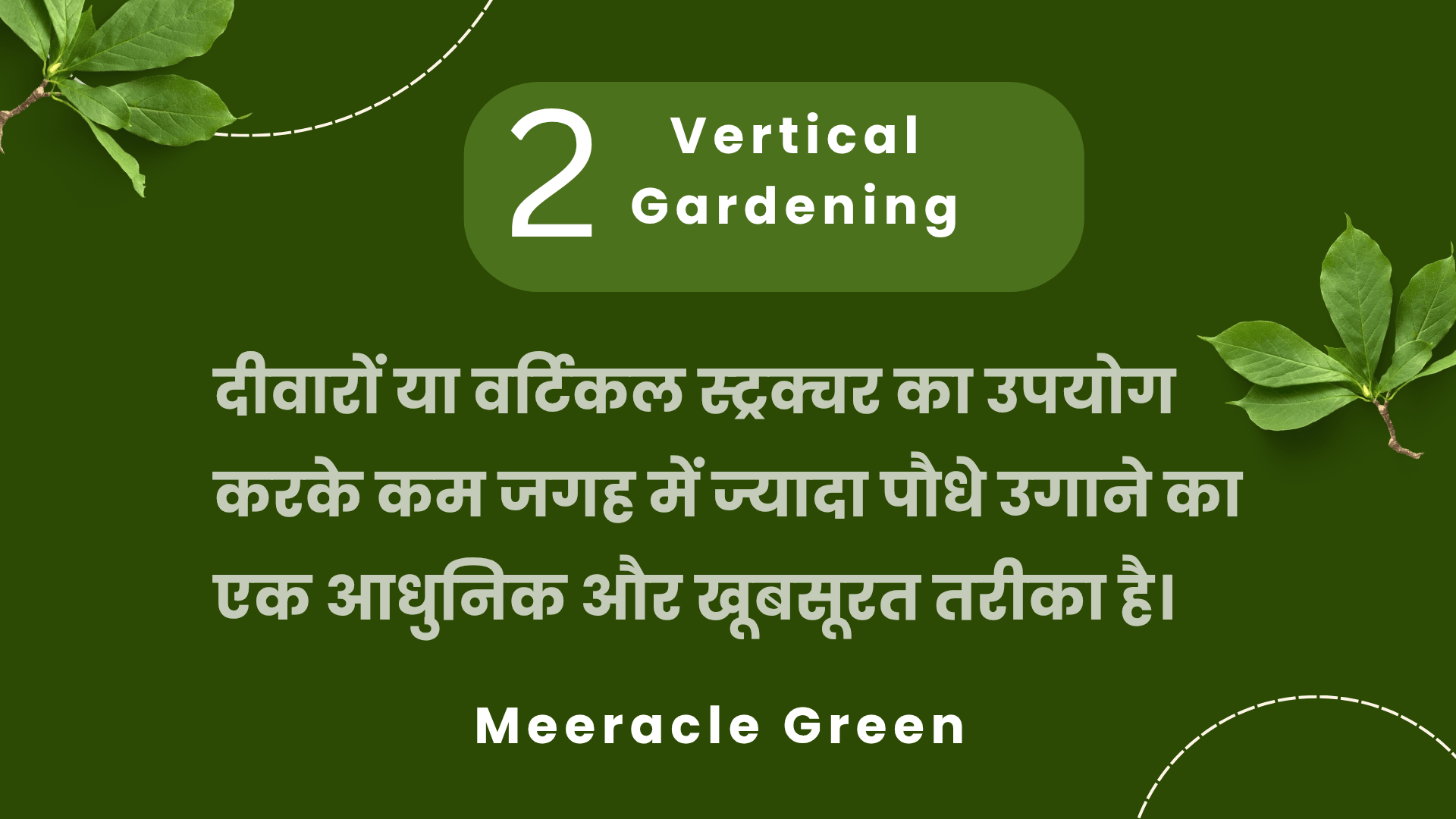 Types of Gardening - Deewaron par Vertical gardening karke kam jagah mein paudhe ugane ka tarika