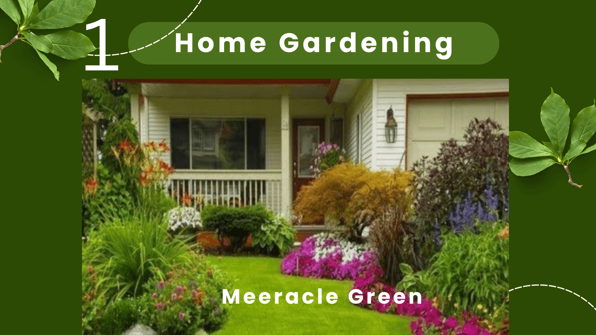 Beautiful Home gardening setup aur plants design