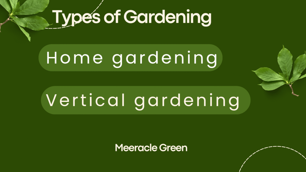 Types of Gardening - Home gardening aur Vertical gardening overview by Meeracle Green
