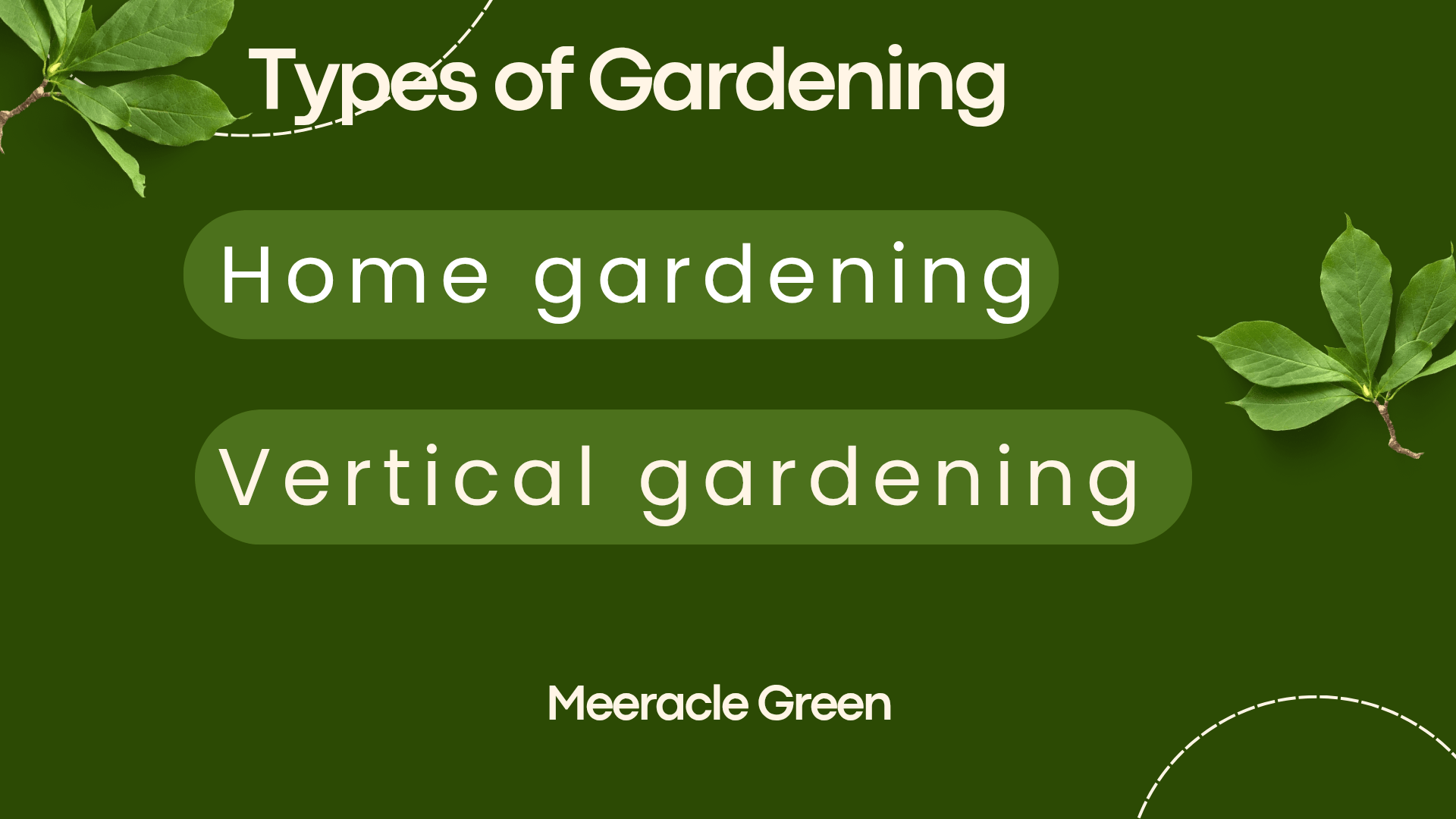 Types of Gardening - Home gardening aur Vertical gardening overview by Meeracle Green