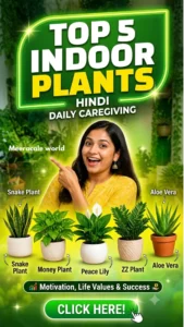 Top5 Indoor Plants Benefits : देखभाल और फायदे 🌿
